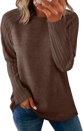 Image of OFEEFAN Long Sleeve Shirts for Womens Fall Fashion 2026 Crewneck Oversized Sweatshirt Tunic Tops to Wear with Leggings