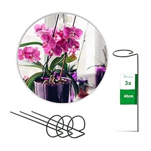Novatool 3 x Doldensteunen, staaldraad, groen, 40 cm, Ø 6 cm, rankstaven, plantenstaven, steunstaven met banden, bloemensteun, struiksteun, plantensteun, ronde bloemensteun, plantenstokken, rankhulp, pioenroos