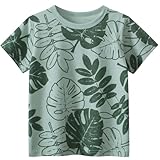 Achiyi Boys Leaf Shirts Toddler Green T Shirts Short Sleeve Cotton Tshirts Summer Graphic Tee Top Clothes for Kids 3-4T 110 LvY