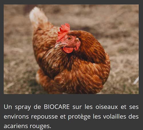 Wasserlösliches Neemöl für Tiere - 250 ml - BioCare - kaltgepresst - Bio-Zertifiziert