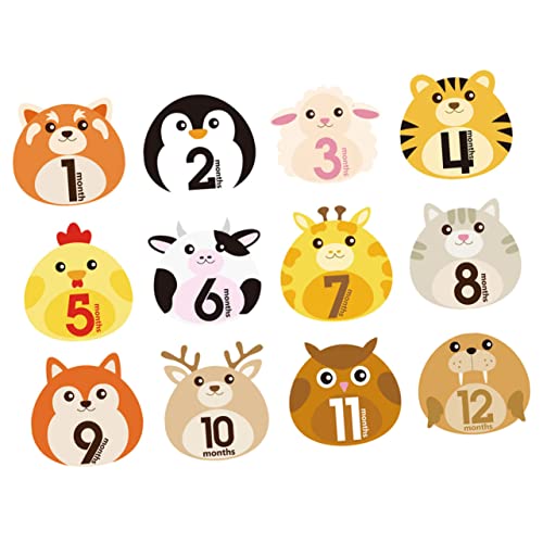 CHICAMPERA 12V[čL^XebJ[ fUC NԂ̐L^p S h JԂgp\ Vc