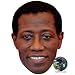 Price comparison product image Wesley Snipes Celebrity Mask, Flat Card Face, Fancy Dress Mask