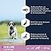 Eukanuba Welpenfutter getreidefrei mit Fisch für große Rassen - Trockenfutter ohne Getreide für Junior Hunde, 3 kg