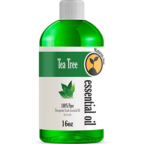 16oz - Bulk Size Tea Tree Essential Oil (16 Ounce Bottle) - Therapeutic