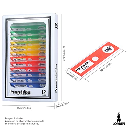 Lâminas Preparadas para Microscópio Educativo Infantil Ensino Crianças 12 Peças de FC6072