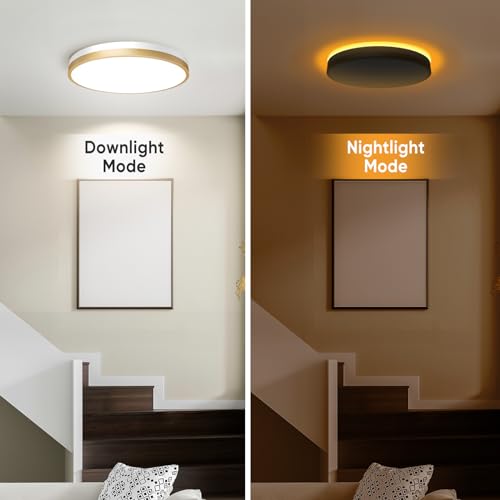 Lightania 11 Inch Flush Mount Ceiling Light with Remote Control & Night Light, 5CCT Dimmable Ceiling Light Fixture, 20W 2000LM 2700K-6500K Adjustable LED Ceiling Lights for Bedroom Kitchen, White Gold