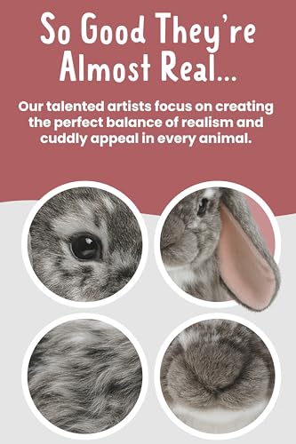 Living Nature Graues holländisches Lop Eared Hase Stofftier Plüschtier | Flauschiges Kaninchen Tier | Stofftier Geschenk für Kinder | Jungen und Mädchen Stoffpuppe | Naturli Umweltfreundliche Plushies