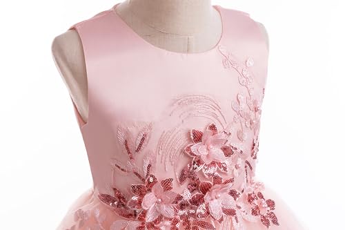 Weileenice Flower Girls Lace Bridesmaid Dress Kids Princess Wedding Prom Pageant Birthday Party Tutu Tulle Dresses4