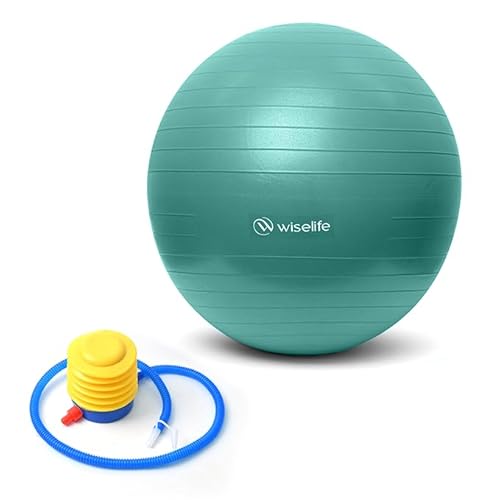 Wiselife Gym Ball,Physical Therapy Yoga Ball for Home,Exercise Ball for Stability,Workout Fitness, Anti-Burst, Slip Resistant Balance Chair for Office, Swiss with Air Pump (Torquoise, 55cm)