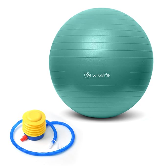 Wiselife Gym Ball,Physical Therapy Yoga Ball for Home,Exercise Ball for Stability,Workout Fitness, Anti-Burst, Slip Resistant Balance Chair for Office, Swiss with Air Pump (Torquoise, 65cm)