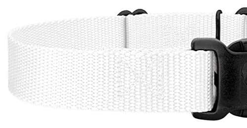 Country Brook Petz - Made In The Usa - Durable Nylon Martingale With Deluxe Buckle - 30+ Vibrant Color Options (White, 1 Inch, Medium) #TOP6
