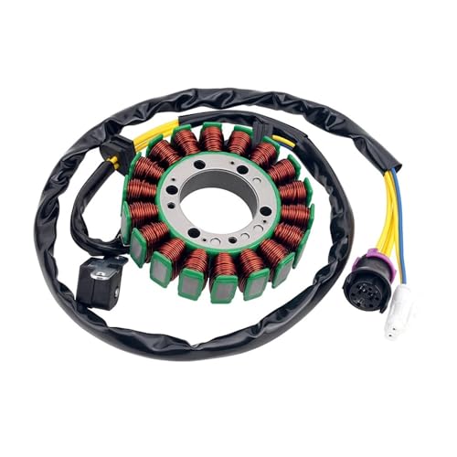 Bobine de stator de moto haut de gamme pour les modèles FA-H300 et FA-D300