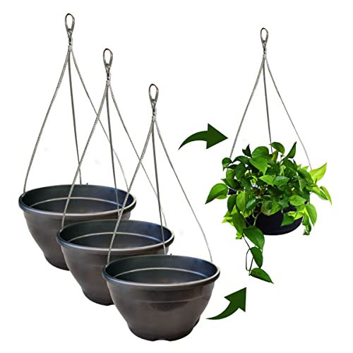 Kit 3 Vaso/cuia Suspenso Para Samambaia e Planta Pendente + Cabo ...