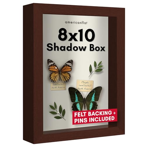 Americanflat 8x10 Shadow Box Frame with Shatter-Resistant Glass - Silhouette
