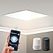 Aigostar - Pannello Led da soffitto, ultrasottile da 32W WIFI CCT Compatibile Alex e Google, luce dimmerabile da bianco caldo a freddo 3000k- 6500k. Dimensione 600 x 600 mm.