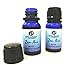 Zen Air Bliss (1 Bottle) Essential Oil Blend for Happiness, Uplift of Spirit. 10 ml. Aromatherapy Formula to Diffuse Includes Ylang Ylang, Orange & Bergamot Essential Oils
