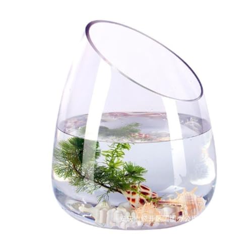 |A~`Ԋ ΂ߌ O[[vpke KXԕr  (23cm)