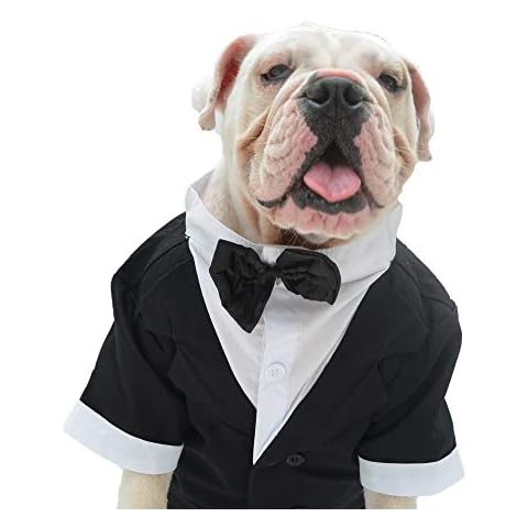 Lovelonglong Hundekostüm Smoking mit schwarzer Fliege Cover