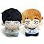 2pcs