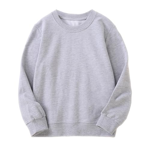 Goengmo Toddler Girls Sweatshirts Crewneck Pullover Long Sleeve Shirts Tops Fall Winter Clothes Grey 4-5T