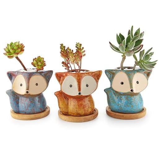T4u Macetas para Cactus de Cerámica con Plato de Paquete de 3, Zorro Pequeña Maceteros Pequeños para Suculento Plantas Casa y Jardin Boda Decorativos Interior