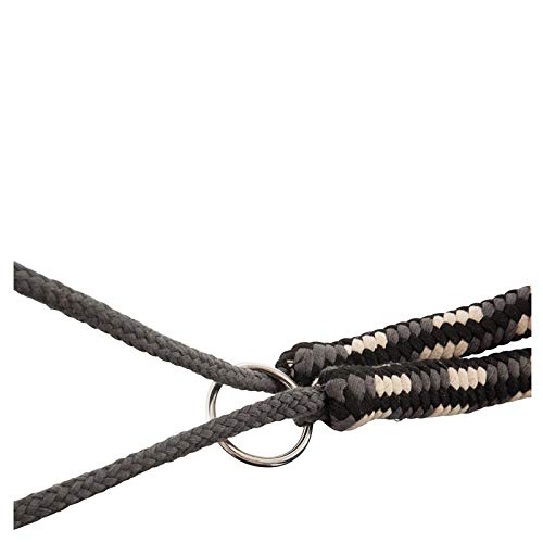 BR Lunging Aid – Size Full