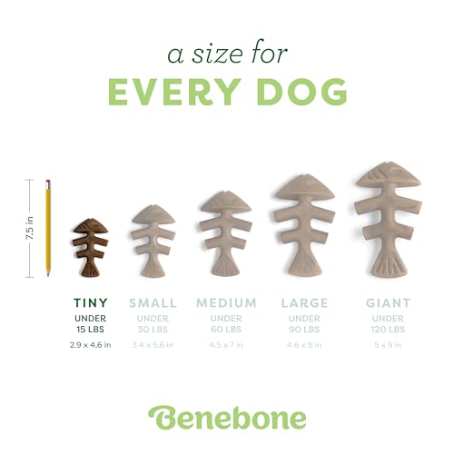Image of Benebone Tiny 2-Pack Fishbone Durable Dog Chew Toys, Real Fish Flavor, Made in USA