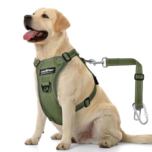 VavoPaw Dog Seat Belt Harness for Car, Dog Car Harness Adjustable Mesh Breathable & Dogs Seatbelt Safety Tether with Elastic Bungee for Small Medium Large Pets(Army Green, L)