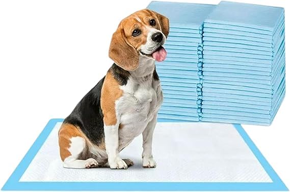 600 x Bazaar Large Puppy Pads 60x60cm Disposable Puppy Training Pads | Highly Absorbent Leak-Proof Dog Training Pads | Premium Quality Quick-Dry Dog Pads (60x60cm - 600 Count).