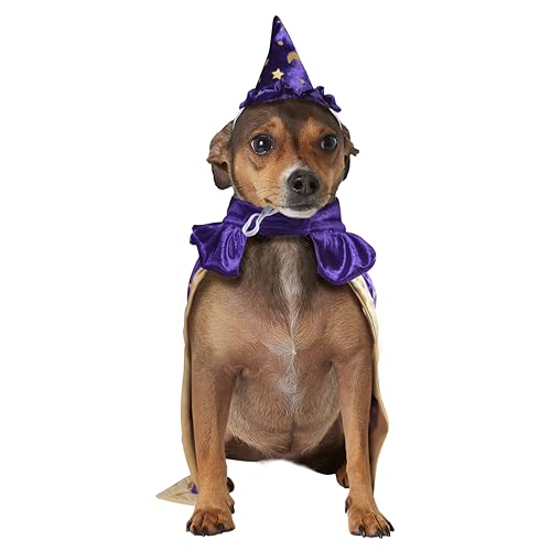 Disfraz de Mago para Perros Mediano miniatura 3