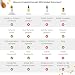 Propolis-in-Wasser-Lösung Extrakt 30% ohne Alkohol, Große Flasche 50 ml, Tinktur für Kinder & Tiere geeignet, Polyphenolen, Flavonoiden und Bioflavonoiden, 100% natürlich, alkoholfrei