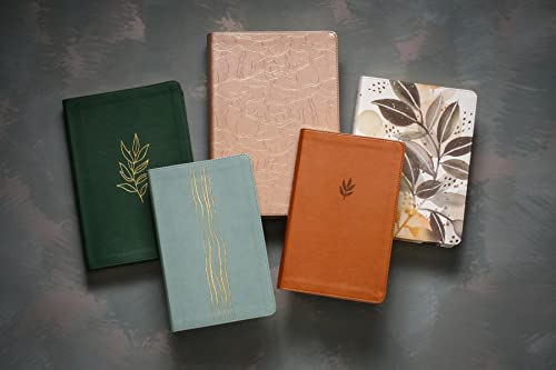 Tyndale 222409 Nlt Wide Margin Bible thumb #10