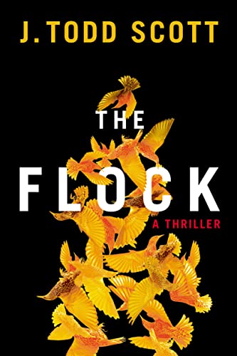 The Flock view 2