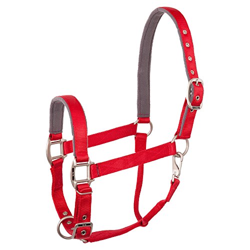 Halfter BR Event azul de cincha fuerte para caballo grande 6