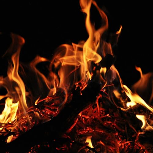 60 Seconds for Motivate Your Monday: How to Kindle Your Self-Expression & Become Visible Again