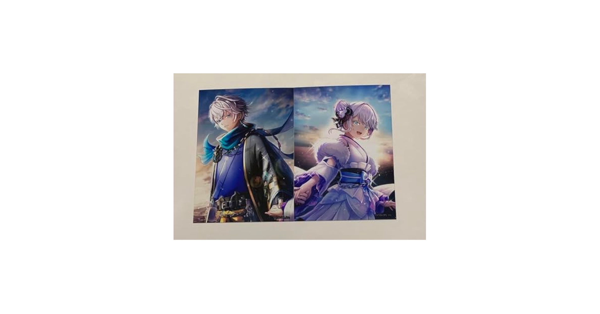 白猫プロジェクト 9周年 色紙 ジン&サヤ Amazon.co.jp: 白猫