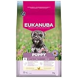 Eukanuba Nourriture pour Chiots au Poulet Frais pour Petites Races, Nourriture sèche Premium pour Chiens Juniors, 3 kg