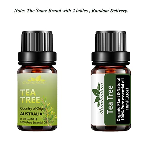 Essential Oils Set Mumianhua Pure Essential Oil Starter Kit For Diffuser, Skin, Candle Making(Basil Oil, Grapefruit, Cajeput, Cedarwood Oil, Tangerine, Bergamot Oil, Thyme Oil, Tea Tree Oil) 8X10Ml #TOP2