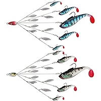 Alabaa Rig Kit de pêche au bar avec têtes plobées en saule pour pêche
