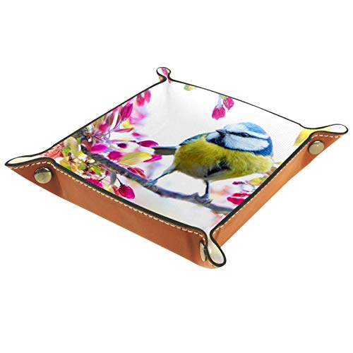 Preisvergleich Produktbild MUMIMI Badezimmer Küche Kommode Schminktisch Tablett Schmuck Geschirr Ring Halter Kosmetik Organizer Frühling Vogel