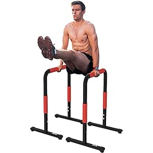 Royal Fitness Dip Bar Station Portable Dip Station Home Gym Dip Stand, Parallel Bars Workout Exercise Equalizer Bars…