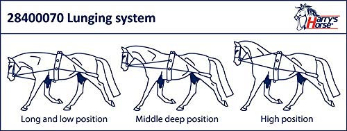 Rênes fixes de poney Harry's Horse robustes et ajustables - 4