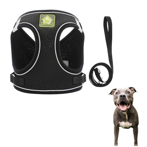 リード S 犬ハーネス」の人気商品一覧 | 安い商品を通販サイトから探す