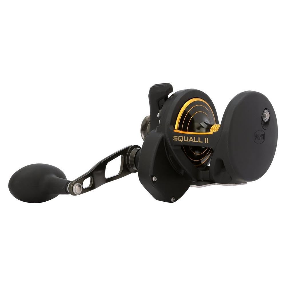 Amazon | PENN Squall II Lever Drag Fishing Reel, Size 30, Graphite