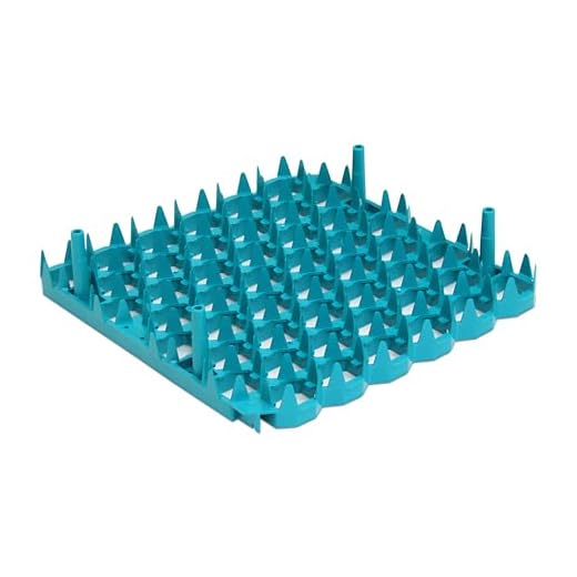 Universal Chicken Egg Trays, 6 Pack
