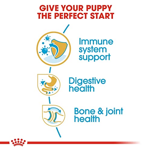 Royal Canin Bulldog Junior 3 kg, 1er Pack (1 x 3 kg)
