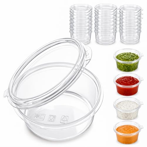 1ABOVE 100 Pack 2oz Clear Plastic Sauce Pots with Hinged Lids Small Disposable Deli Containers for Takeaway Chutney Ketchup Sauces & Dressings (2oz-100 pack)
