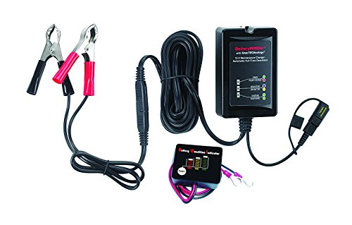 Golf cart battery restore reviews