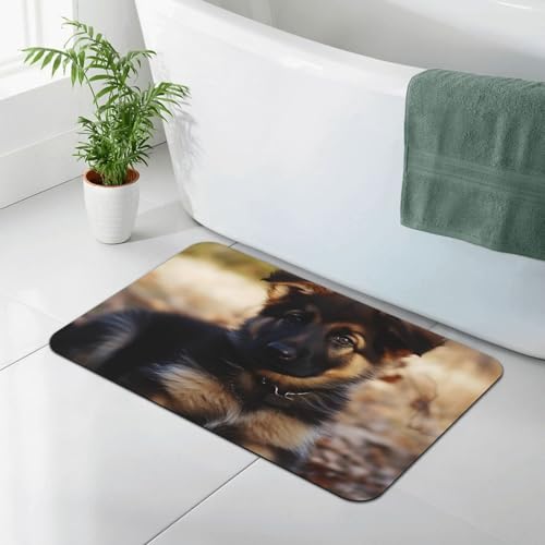 Tapis de bain super absorbant en pierre de diatomée | Idéal sortie de douche
