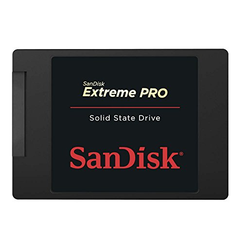 SanDisk EXTREME PRO (480 GB)